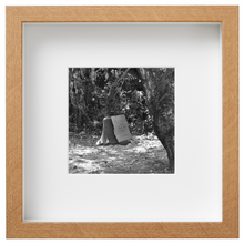 Load image into Gallery viewer, Sierra Leone_SL31
