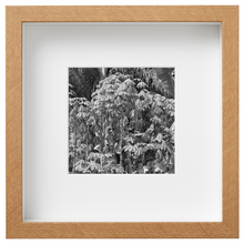 Load image into Gallery viewer, Sierra Leone_SL32

