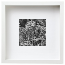 Load image into Gallery viewer, Sierra Leone_SL32
