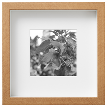 Load image into Gallery viewer, Sierra Leone_SL36

