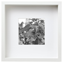 Load image into Gallery viewer, Sierra Leone_SL36
