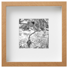 Load image into Gallery viewer, Sierra Leone_SL38
